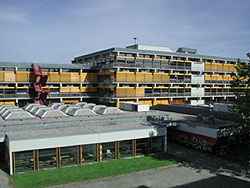 How are you? Knive to meet you.