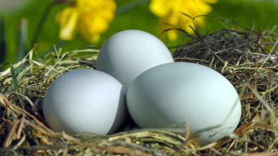 I will try them, you will see.