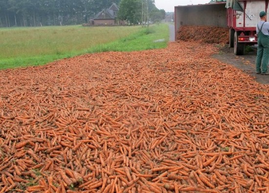 Carrots